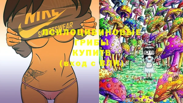 стафф Лабытнанги