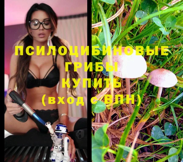 дурь Лиски