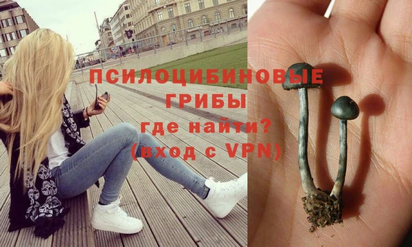 дурь Лиски