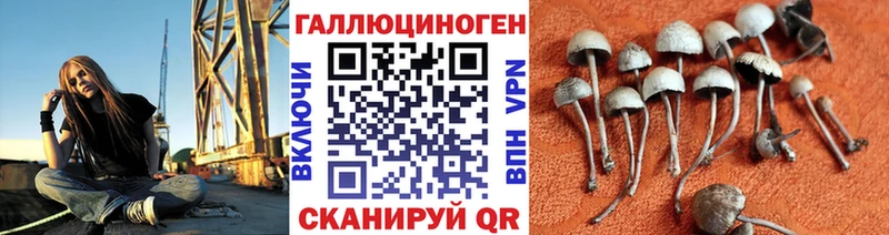 сколько стоит  Камбарка  Галлюциногенные грибы GOLDEN TEACHER 